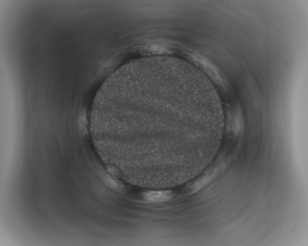 X0000111500465200908041206