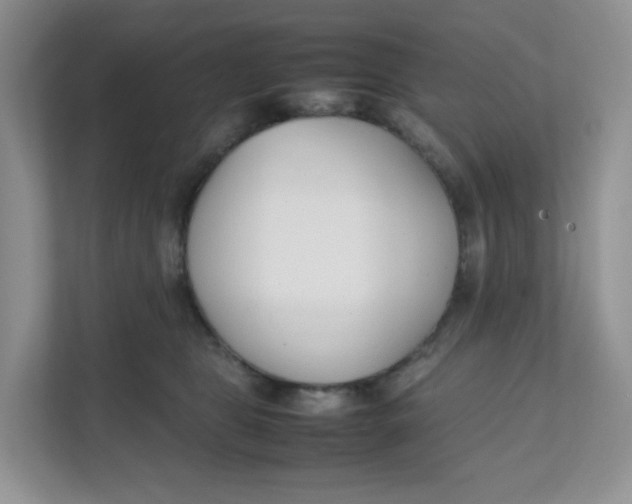 X0000111500469200908041206