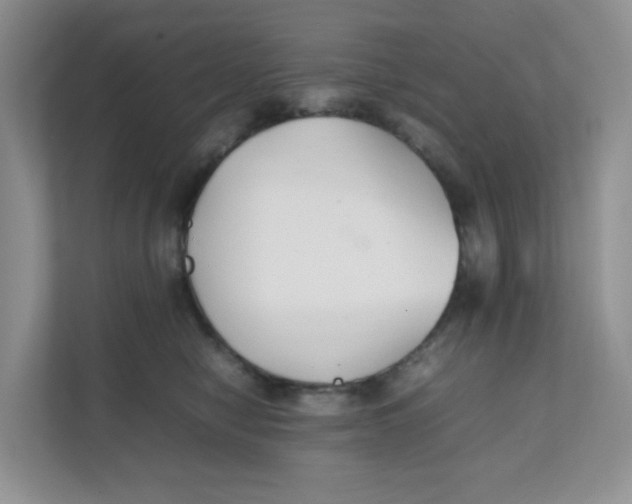 X0000111500470200908041206