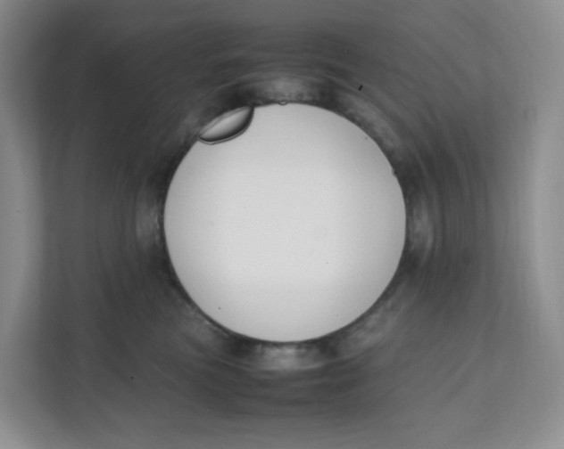 X0000111500473200908041206