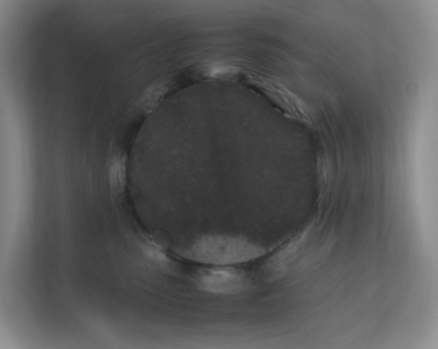 X0000111500475200908041206