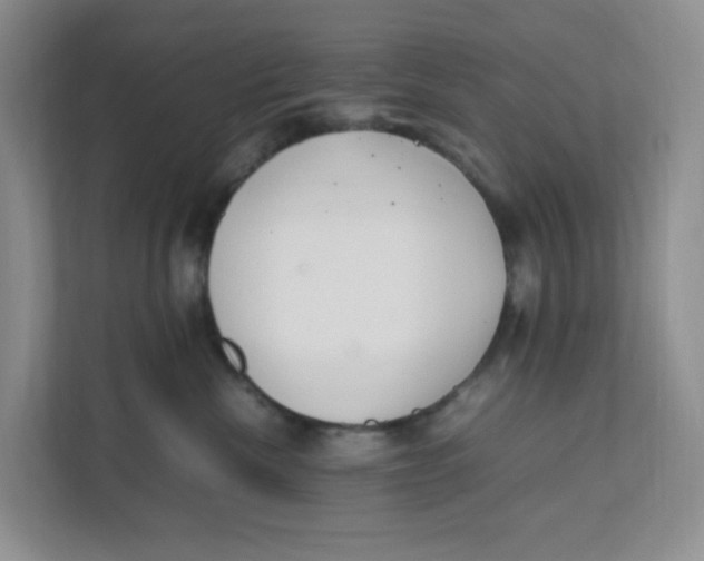 X0000111500476200908041206