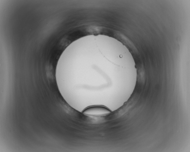 X0000111500477200908041206