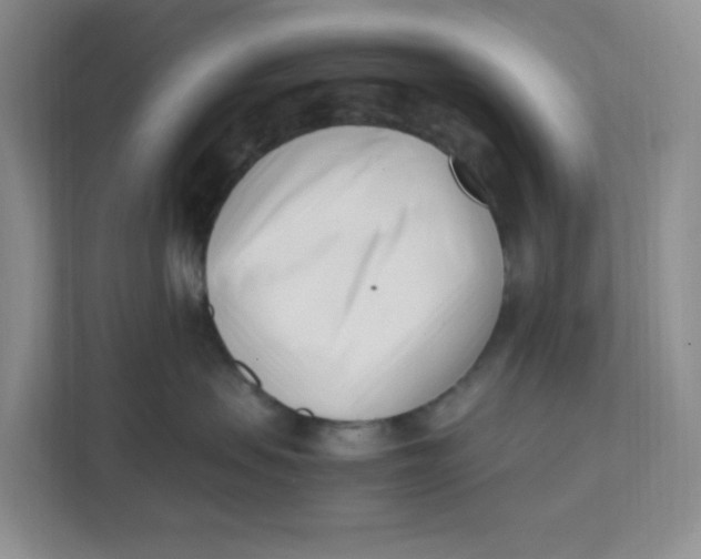 X0000111500479200908041206