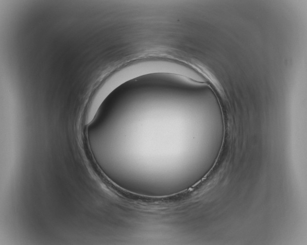 X0000111500485200908041205