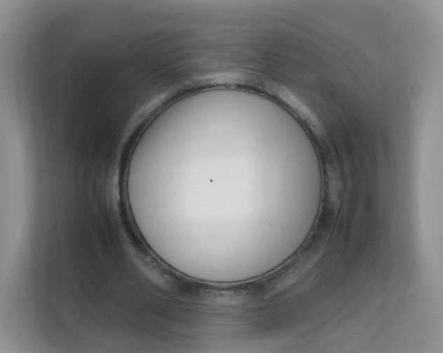 X0000111500486200908041205