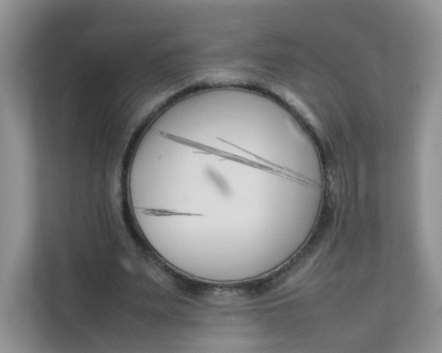 X0000111500487200908041205