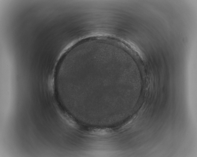 X0000111500488200908041205