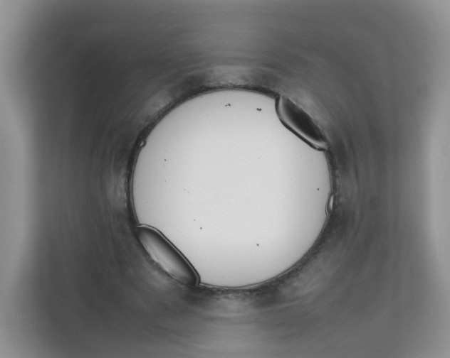 X0000111500489200908041205