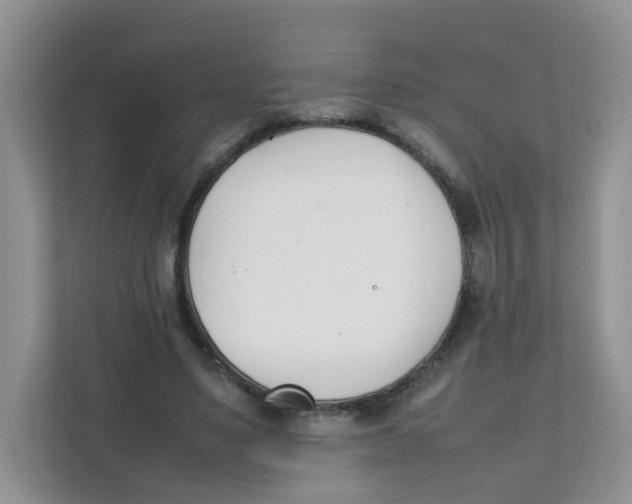 X0000111500491200908041205