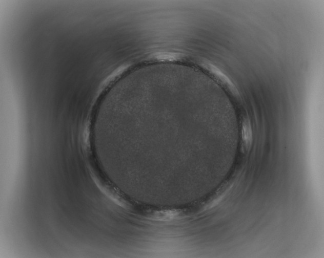 X0000111500492200908041205