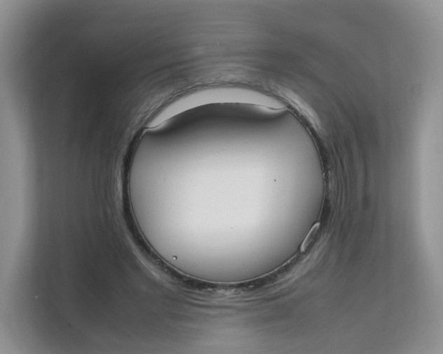 X0000111500493200908041205