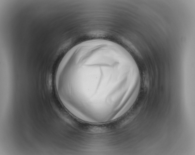 X0000111500494200908041205