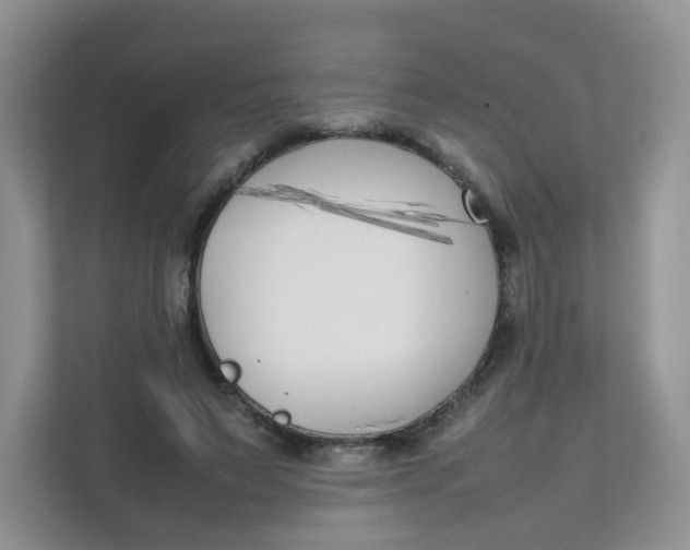 X0000111500495200908041205