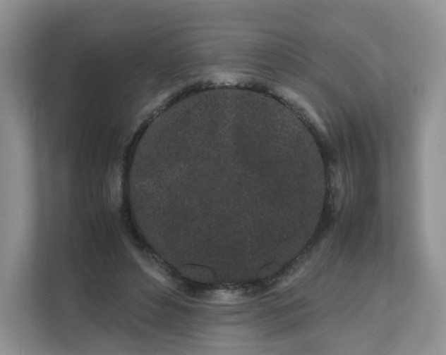 X0000111500496200908041205