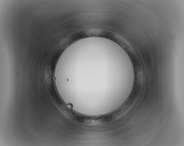 X0000111500498200908041205