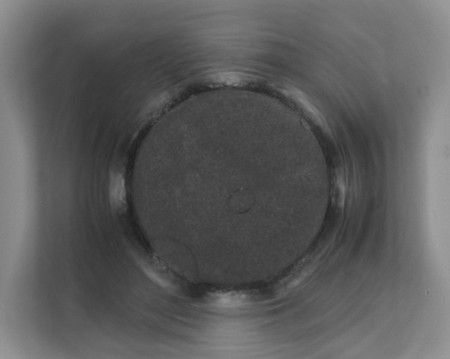 X0000111500500200908041205