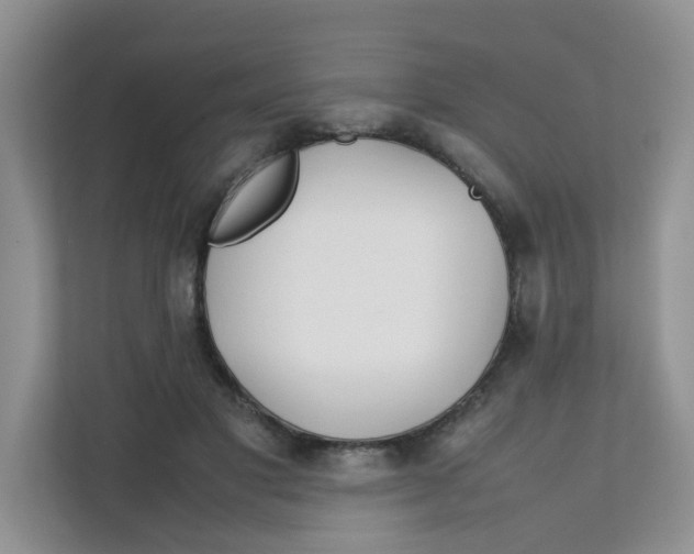 X0000111500501200908041205