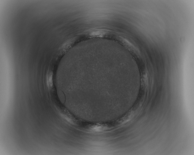 X0000111500504200908041205