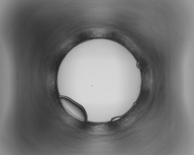 X0000111500505200908041205