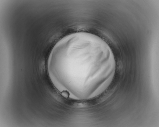 X0000111500506200908041205