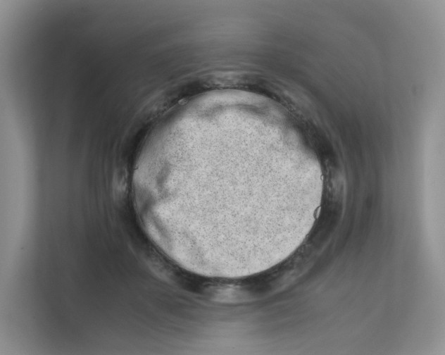 X0000111500507200908041205