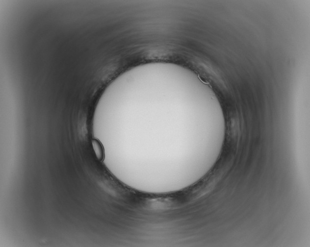 X0000111500508200908041205