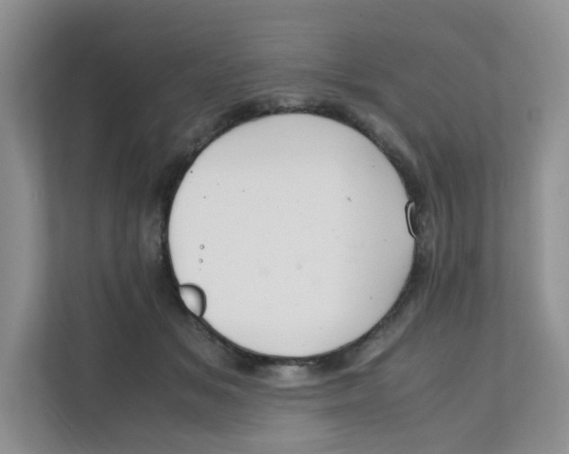 X0000111500509200908041205