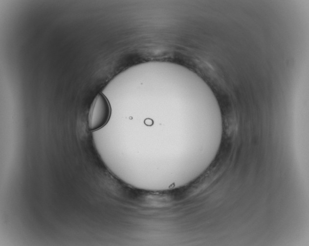 X0000111500515200908041205