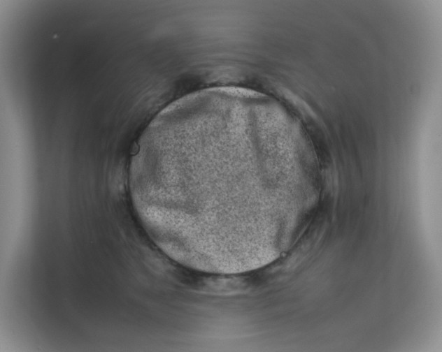 X0000111500517200908041205