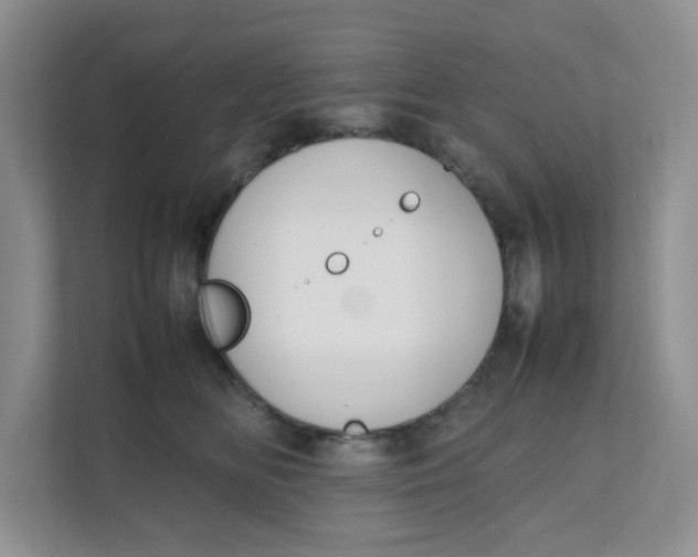 X0000111500518200908041205