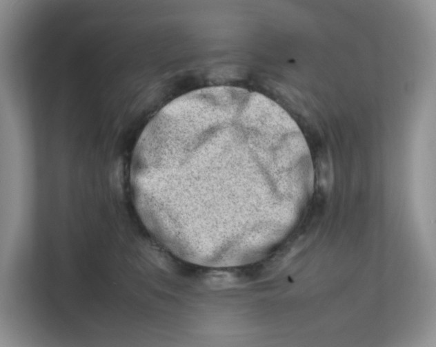 X0000111500519200908041205