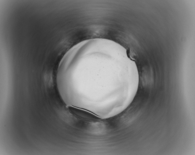 X0000111500520200908041205