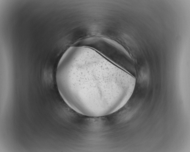 X0000111500524200908041205