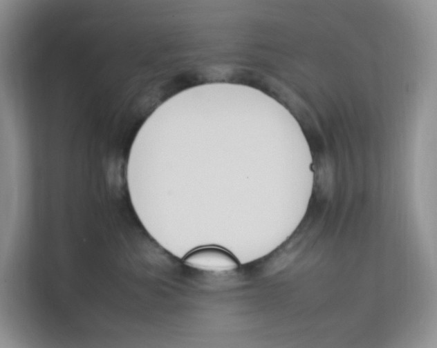 X0000111500525200908041205