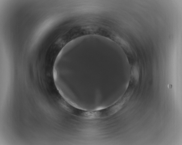 X0000111500526200908041205