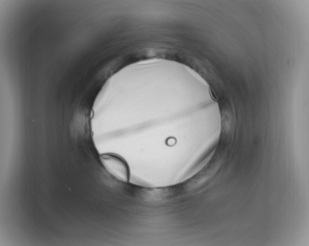 X0000111500527200908041205