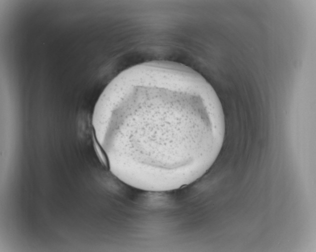 X0000111500528200908041205