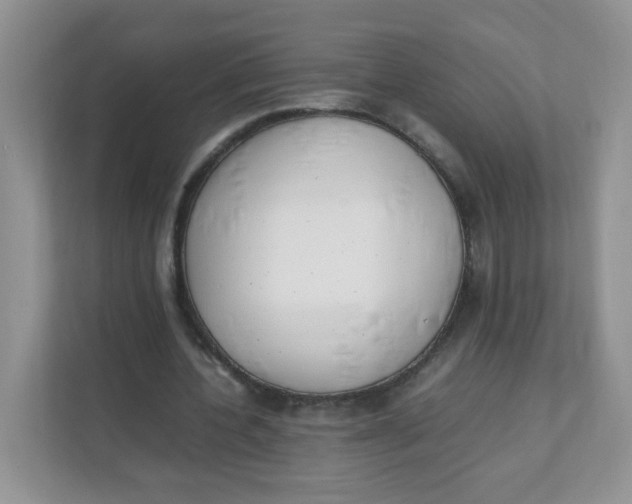 X0000111500532200908041204