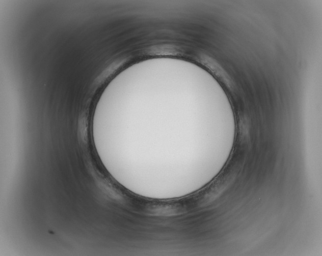 X0000111500533200908041204