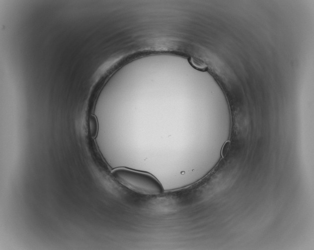 X0000111500536200908041204