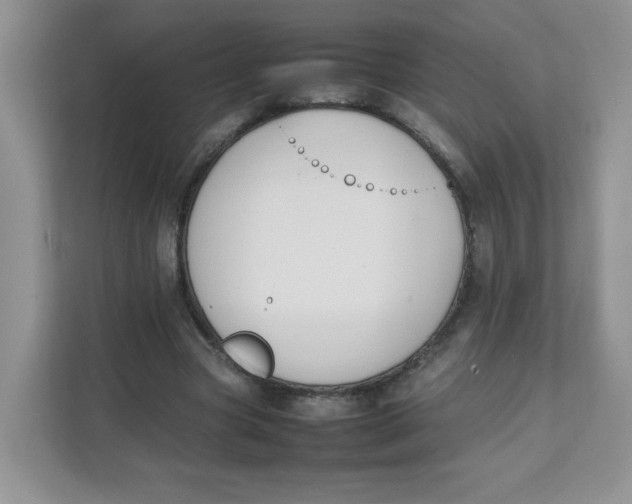 X0000111500537200908041204