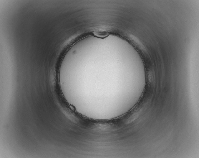 X0000111500540200908041204