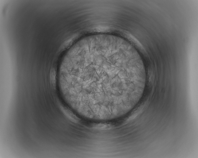 X0000111500542200908041204