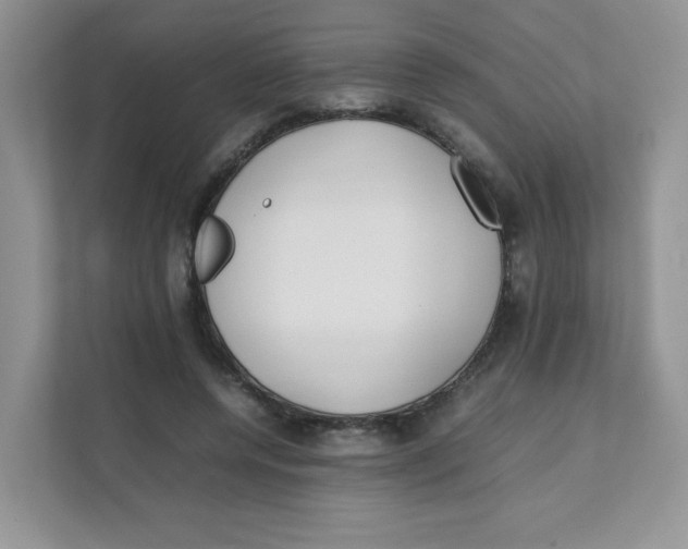 X0000111500544200908041204