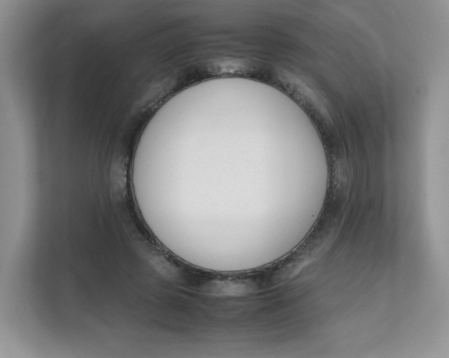 X0000111500545200908041204