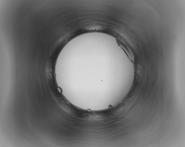 X0000111500547200908041204