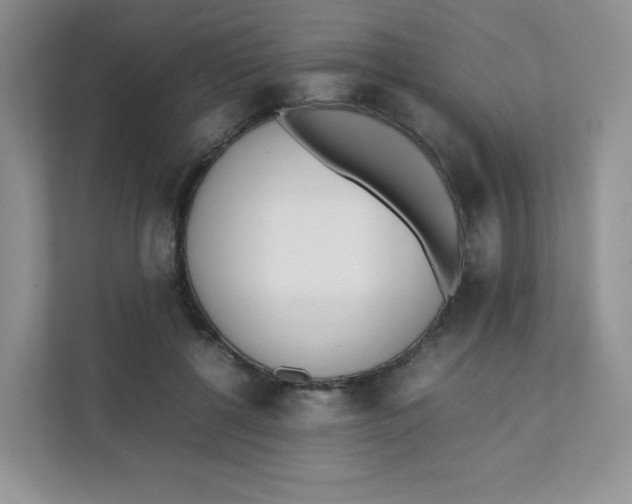 X0000111500552200908041204