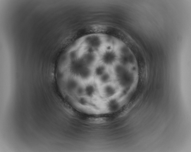 X0000111500553200908041204