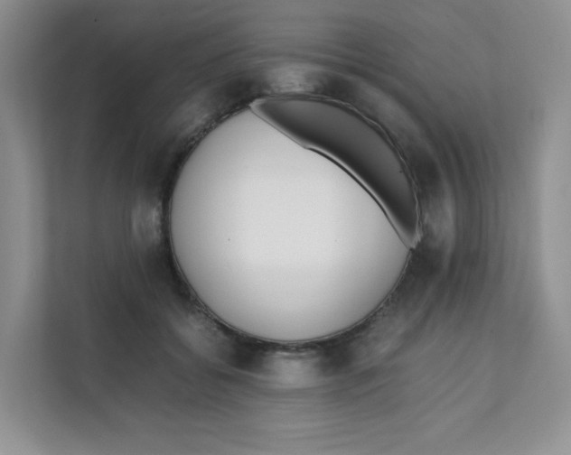 X0000111500556200908041204